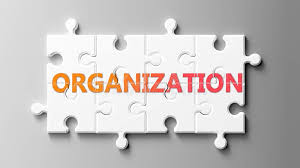Organization